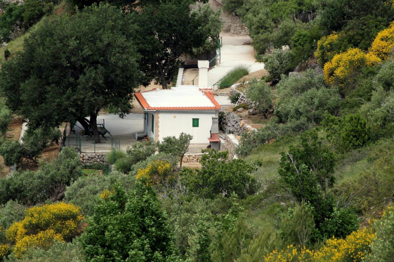 Villa " Davorka" Podgora Exteriér fotografie