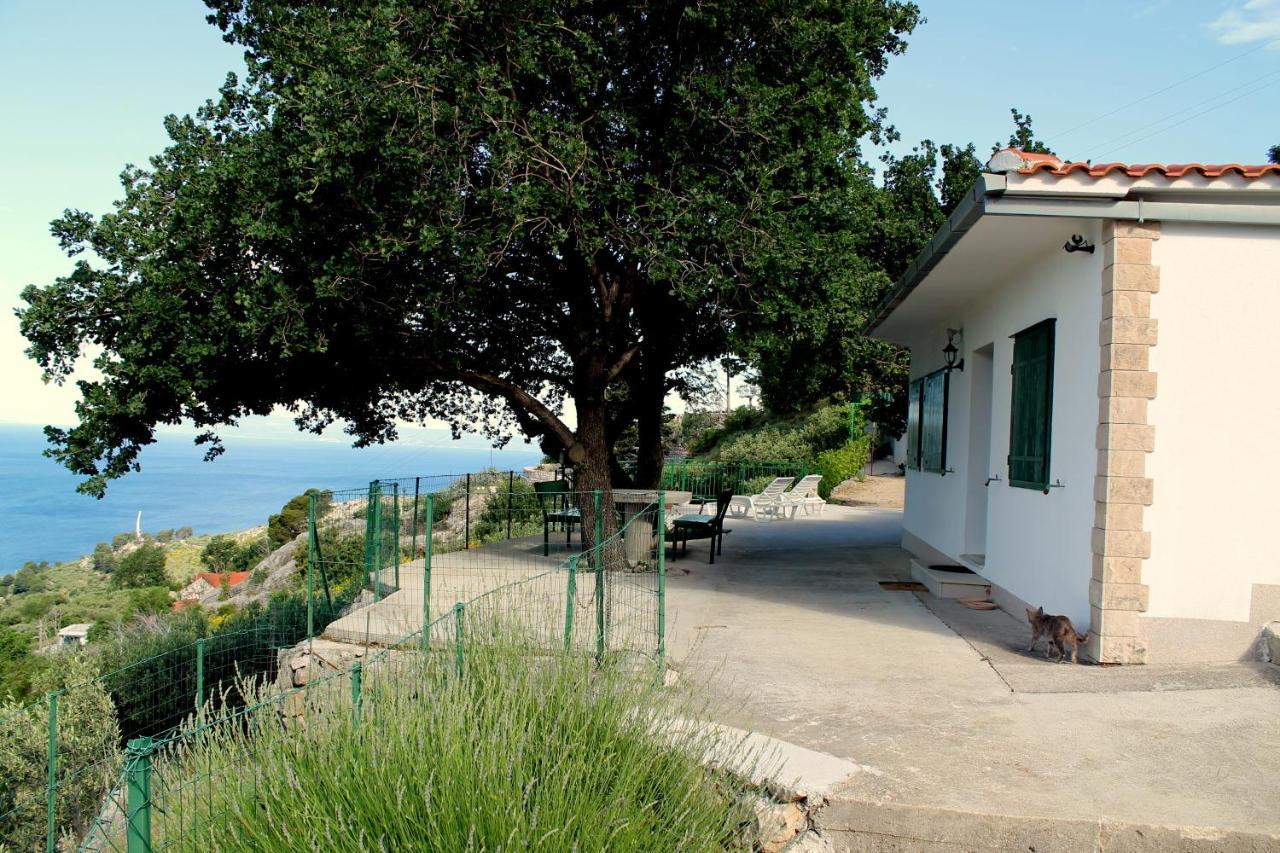 Villa " Davorka" Podgora Exteriér fotografie