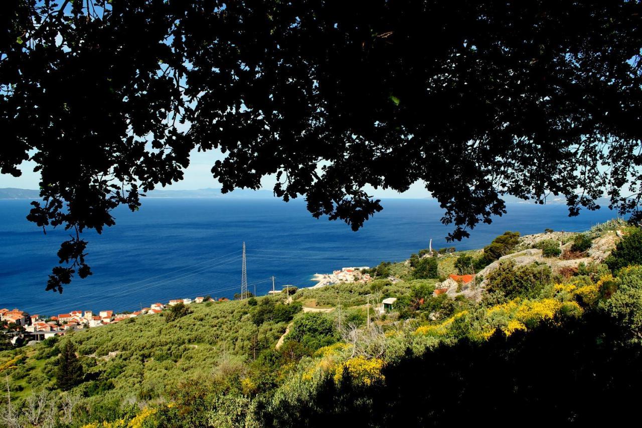 Villa " Davorka" Podgora Exteriér fotografie