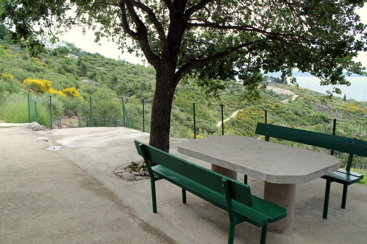 Villa " Davorka" Podgora Exteriér fotografie