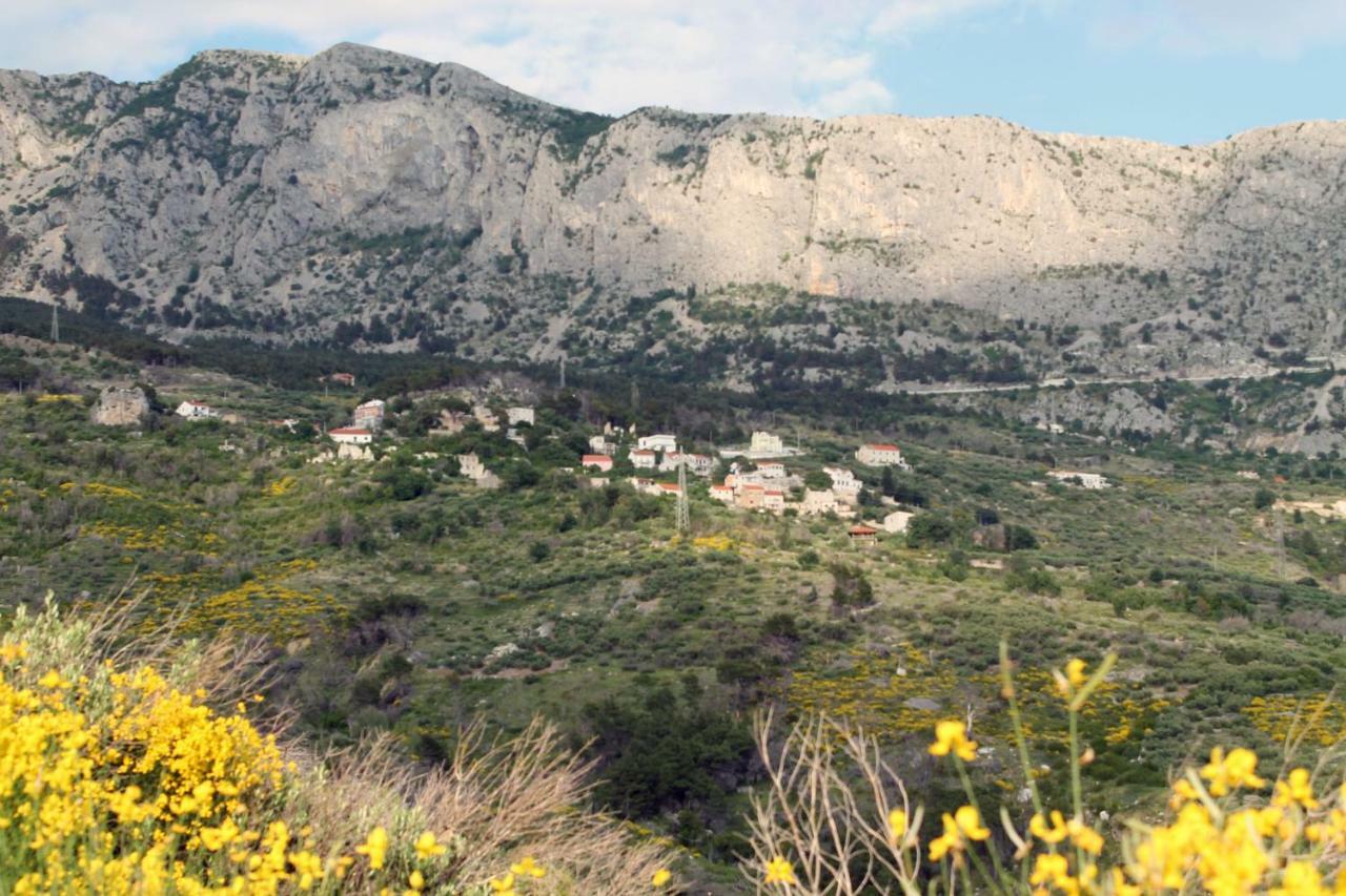 Villa " Davorka" Podgora Exteriér fotografie
