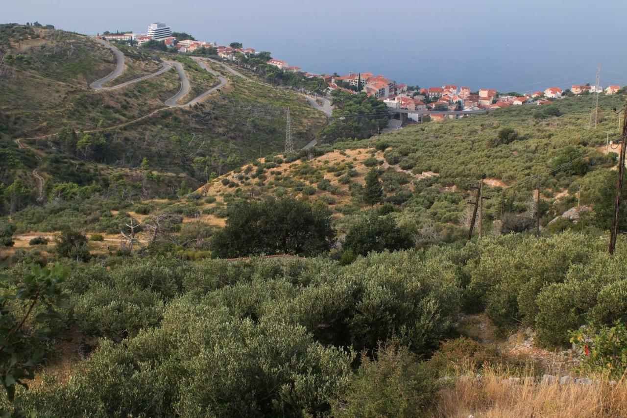 Villa " Davorka" Podgora Exteriér fotografie