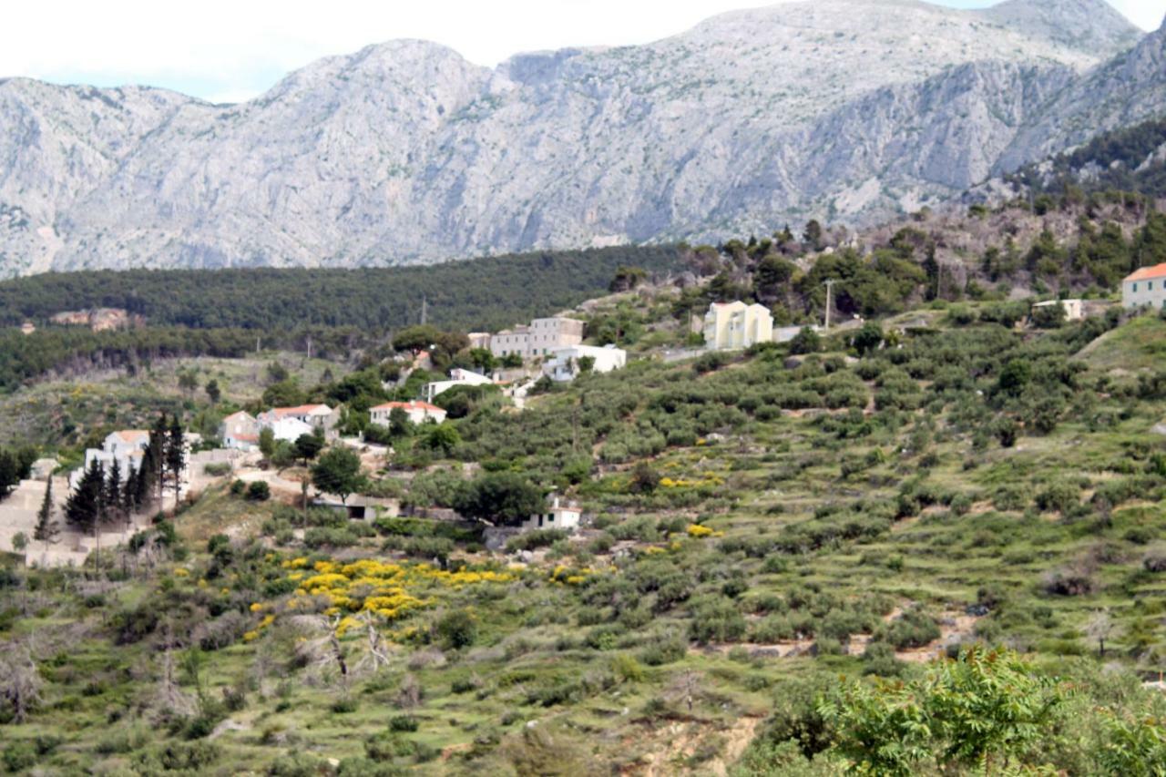 Villa " Davorka" Podgora Exteriér fotografie