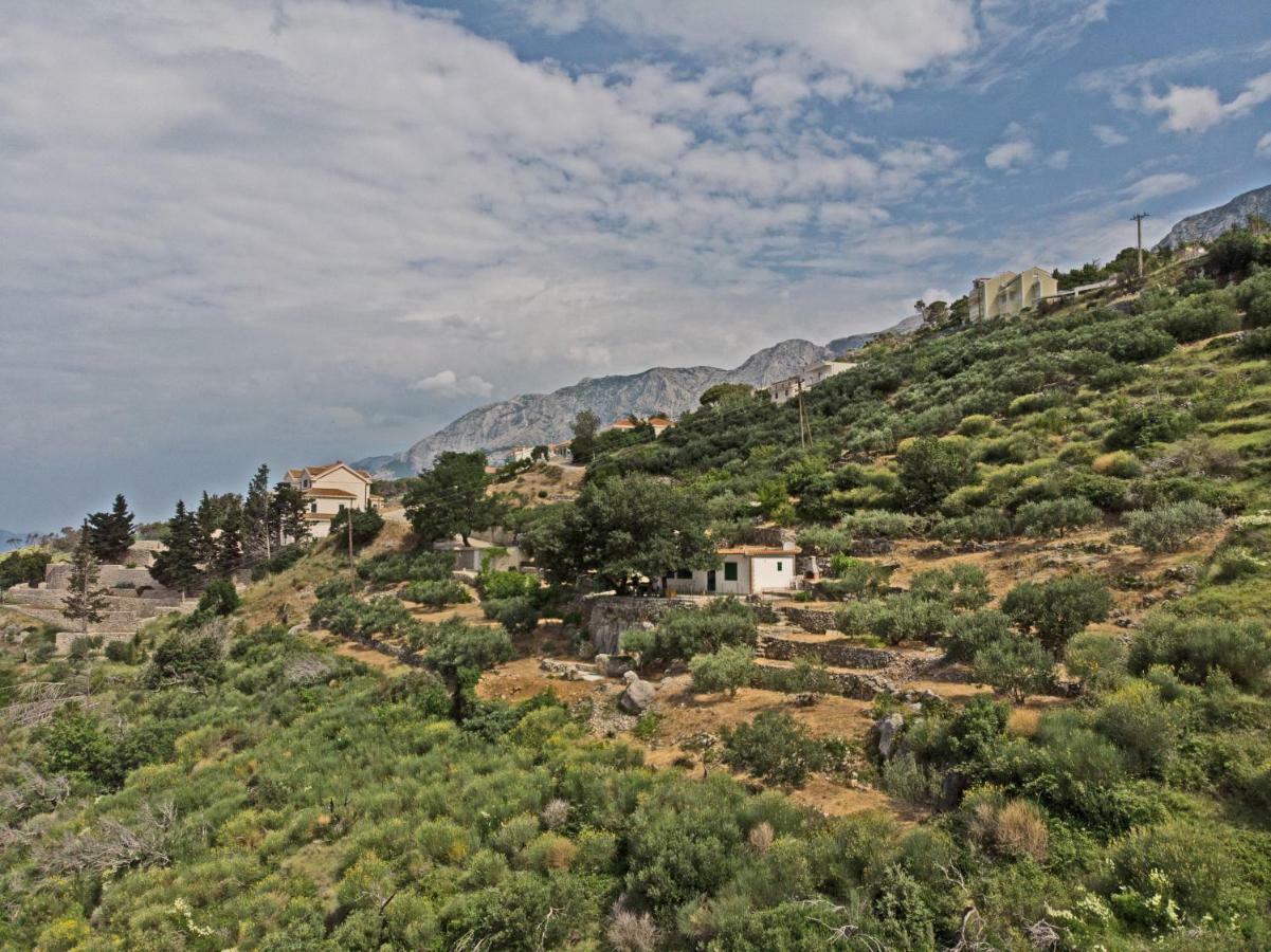 Villa " Davorka" Podgora Exteriér fotografie
